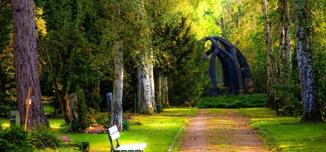 Le jardin botanique de tours